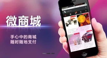 武漢微信商城開發(fā) 開發(fā)的多樣性