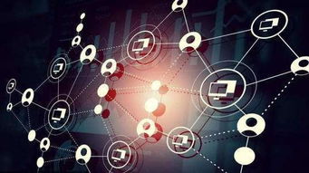 十二生肖系統app軟件開發