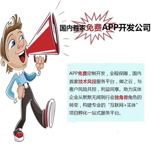 app軟件開發(fā) 線上商城定制 網(wǎng)站建設及優(yōu)化