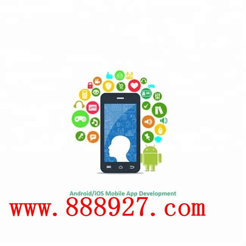 深圳西鄉企業app開發科技公司