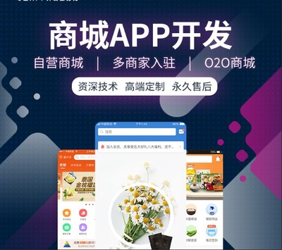 2023小程序乾隆宮廷醬商城系統開發(源碼交付)