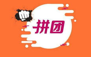 拼團(tuán)app系統(tǒng)定制 拼團(tuán)商城app成功案例 拼團(tuán)小程序開發(fā) 類似拼多多app開發(fā)解決方案