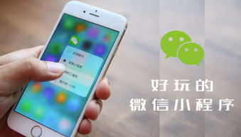 小店直播賣貨小程序定制開發(fā)