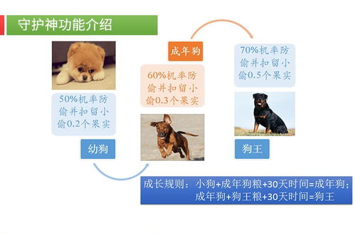 農場系統農場app開發定制 專業開發,品質保障